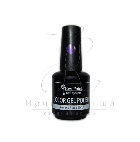 462482187_064key-point-gel-lak